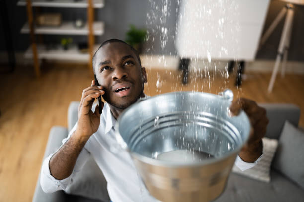 Best Emergency water damage restoration  in Three Rivers, MI