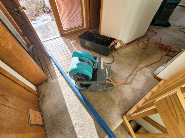 Trusted MI Water damage restoration Experts