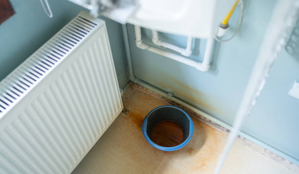 Best Water damage cleanup near me  in Three Rivers, MI