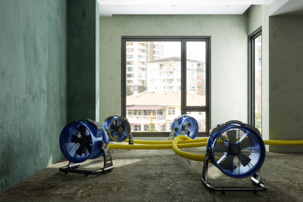Sewage cleanup and water damage restoration in MI