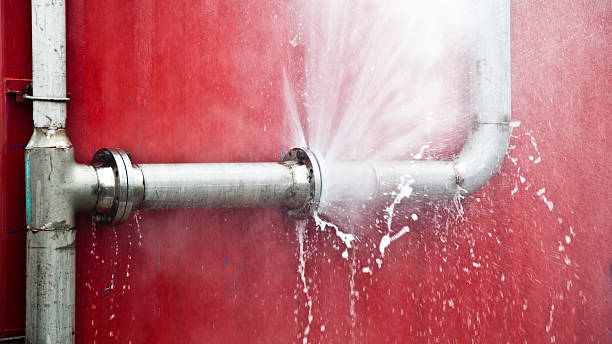 Best Fire Damage Restoration  in Three Rivers, MI